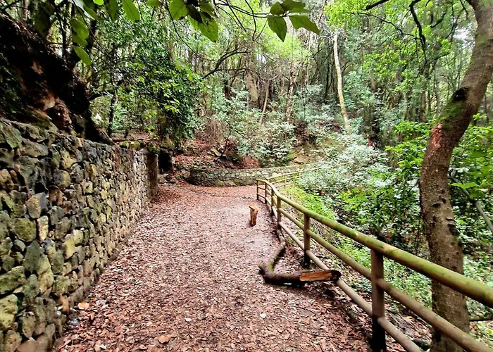 Oroval Residencial Anaga Apartment With A Private Parking 公寓